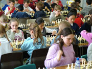 在线DDOS平台攻击