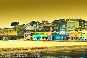 自动攻击网站工具下载